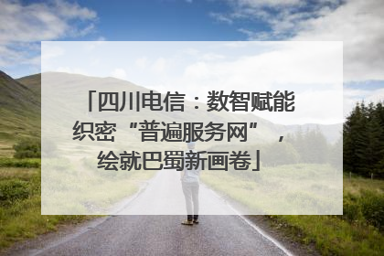 四川电信：数智赋能织密“普遍服务网”，绘就巴蜀新画卷