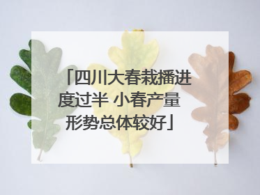 四川大春栽播进度过半 小春产量形势总体较好