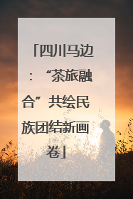 四川马边：“茶旅融合”共绘民族团结新画卷