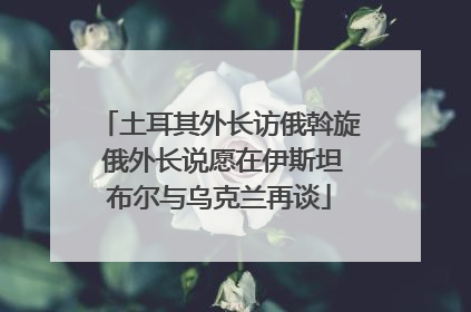土耳其外长访俄斡旋 俄外长说愿在伊斯坦布尔与乌克兰再谈