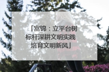 富锦：立平台树标杆深耕文明实践培育文明新风