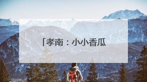 孝南：小小香瓜 “甜”出富路