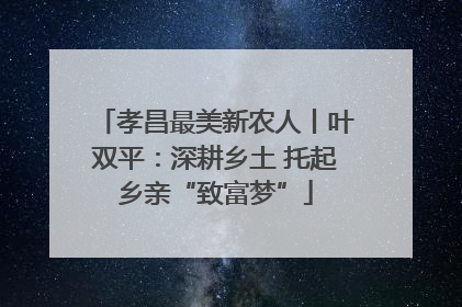 孝昌最美新农人丨叶双平：深耕乡土 托起乡亲“致富梦”