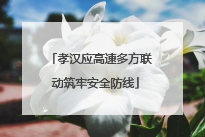 孝汉应高速多方联动筑牢安全防线