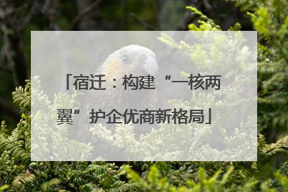 宿迁：构建“一核两翼”护企优商新格局