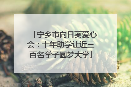 宁乡市向日葵爱心会：十年助学让近三百名学子圆梦大学