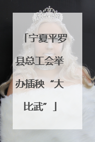 宁夏平罗县总工会举办插秧“大比武”