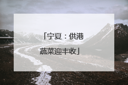 宁夏：供港蔬菜迎丰收
