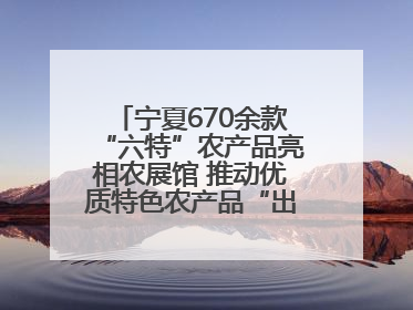 宁夏670余款“六特”农产品亮相农展馆 推动优质特色农产品“出宁进京”
