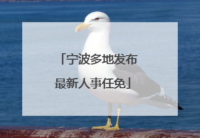 宁波多地发布最新人事任免