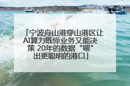 宁波舟山港穿山港区让AI算力既懂业务又能决策 20年的数据“喂”出更聪明的港口