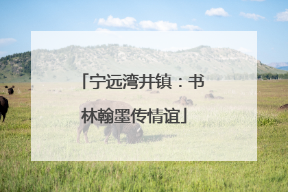 宁远湾井镇：书林翰墨传情谊