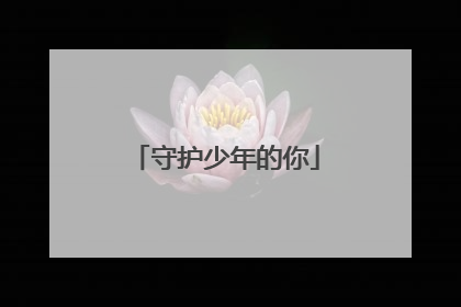 守护少年的你