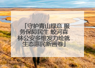 守护青山绿意 服务保障民生 蛟河森林公安多维发力绘就生态惠民新画卷