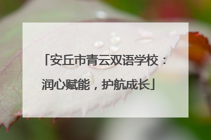 安丘市青云双语学校：润心赋能，护航成长