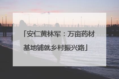 安仁黄林军：万亩药材基地铺就乡村振兴路