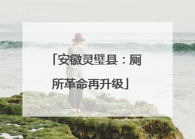 安徽灵璧县：厕所革命再升级
