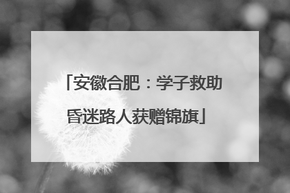 安徽合肥：学子救助昏迷路人获赠锦旗