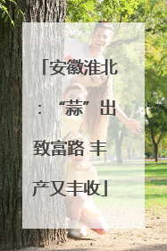 安徽淮北：“蒜”出致富路 丰产又丰收