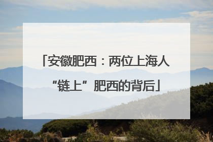 安徽肥西：两位上海人“链上”肥西的背后