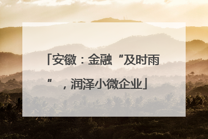 安徽：金融“及时雨”，润泽小微企业