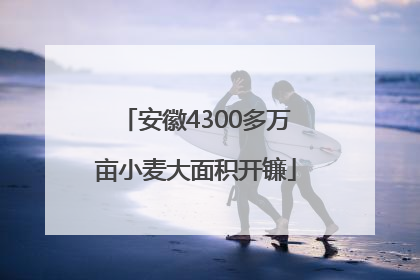 安徽4300多万亩小麦大面积开镰