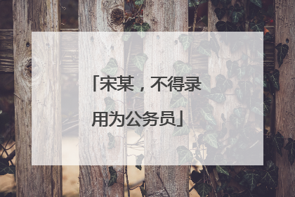 宋某，不得录用为公务员