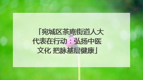 宛城区茶庵街道人大代表在行动：弘扬中医文化 把脉基层健康