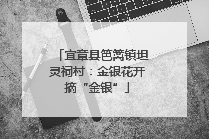 宜章县笆篱镇坦灵祠村：金银花开摘“金银”