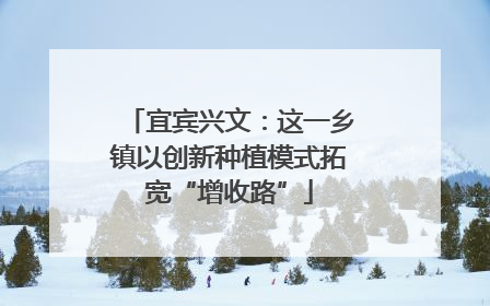 宜宾兴文：这一乡镇以创新种植模式拓宽“增收路”