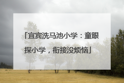 宜宾洗马池小学：童眼探小学，衔接没烦恼