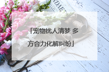 宠物扰人清梦 多方合力化解纠纷