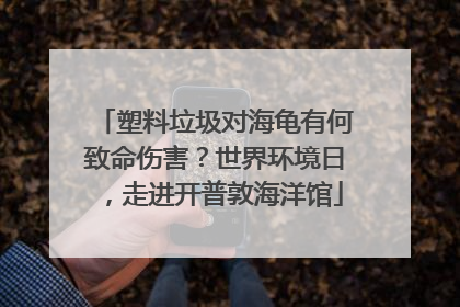 塑料垃圾对海龟有何致命伤害？世界环境日，走进开普敦海洋馆