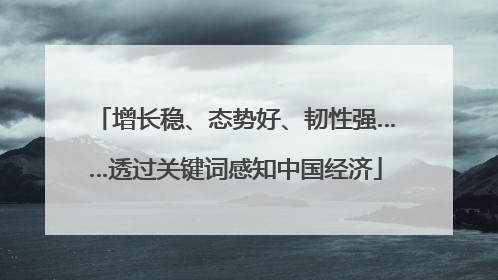 增长稳、态势好、韧性强……透过关键词感知中国经济