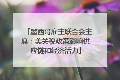 墨西哥雇主联合会主席：美关税政策影响供应链和经济活力