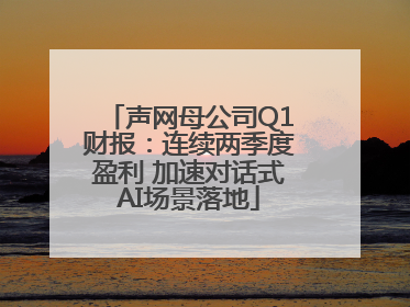 声网母公司Q1财报：连续两季度盈利 加速对话式AI场景落地