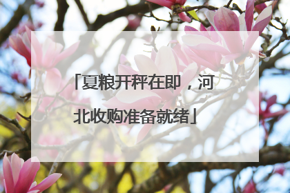 夏粮开秤在即，河北收购准备就绪