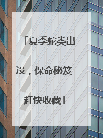 夏季蛇类出没，保命秘笈赶快收藏