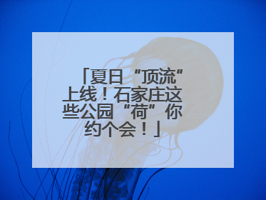 夏日“顶流”上线！石家庄这些公园“荷”你约个会！