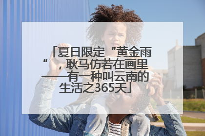 夏日限定“黄金雨”，耿马仿若在画里——有一种叫云南的生活之365天