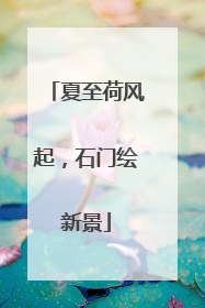 夏至荷风起，石门绘新景