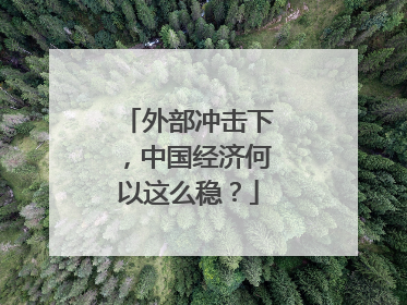 外部冲击下，中国经济何以这么稳？