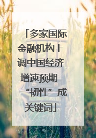 多家国际金融机构上调中国经济增速预期 “韧性”成关键词