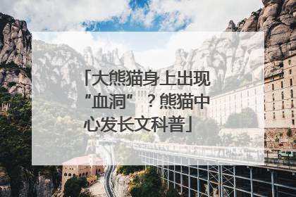 大熊猫身上出现“血洞”？熊猫中心发长文科普
