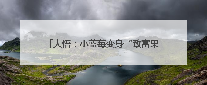 大悟：小蓝莓变身“致富果” 特色生“金”致富有方