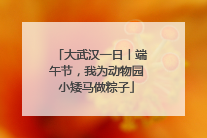 大武汉一日丨端午节，我为动物园小矮马做粽子