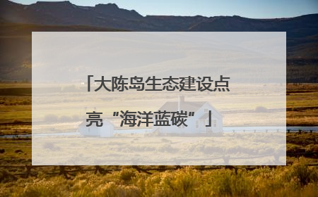 大陈岛生态建设点亮“海洋蓝碳”