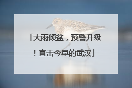 大雨倾盆，预警升级！直击今早的武汉