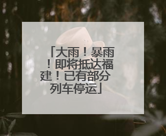 大雨！暴雨！即将抵达福建！已有部分列车停运