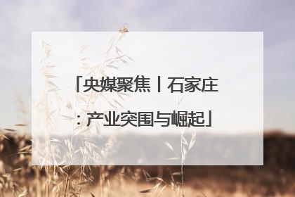 央媒聚焦丨石家庄：产业突围与崛起